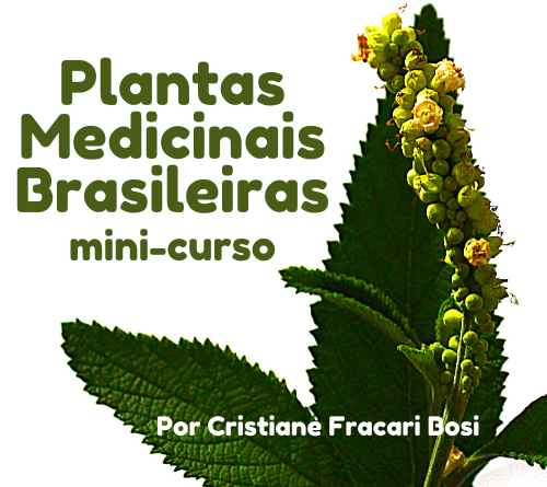 Plantas Medicinais Brasileiras